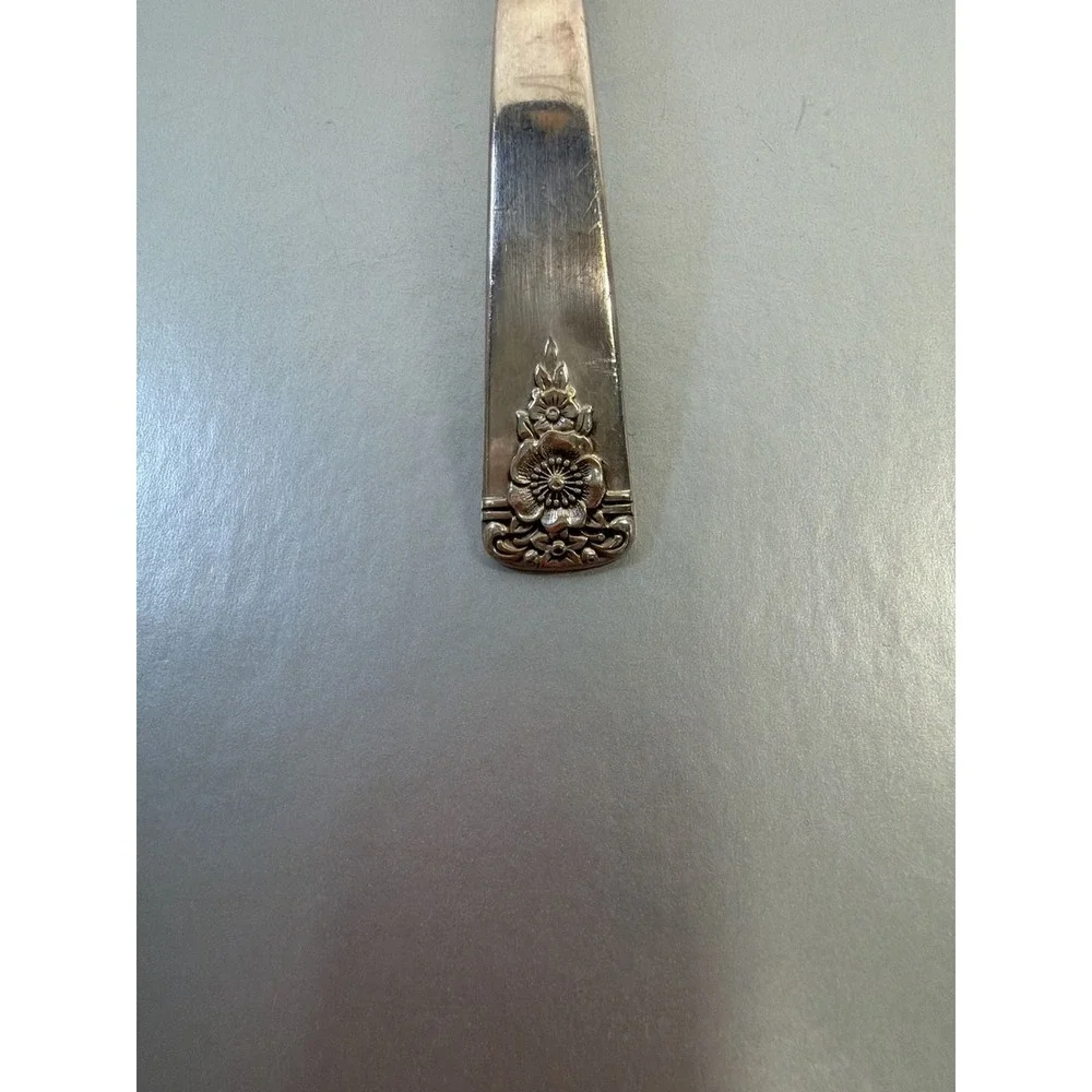 Wm. Rogers Memory Pattern Silverplate Gravy Ladle